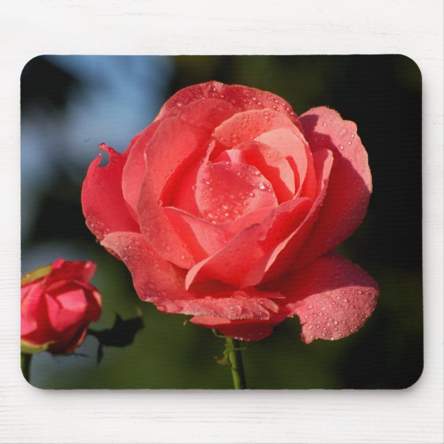 Mousepad Uma rosa para a amada.... (Frente)