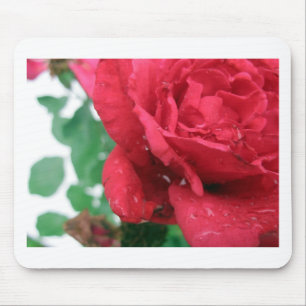 Mousepad Uma Rosa vermelha
