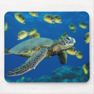 Mousepad Uma tartaruga verde natação depois de uma escola