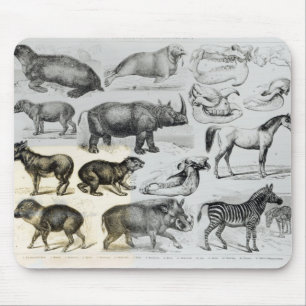Mousepad Ungulata ou animais Hoofed