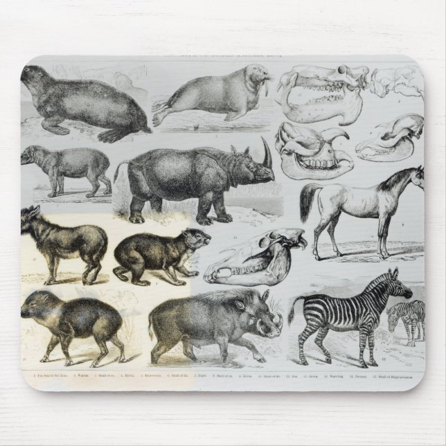 Mousepad Ungulata ou animais Hoofed (Frente)