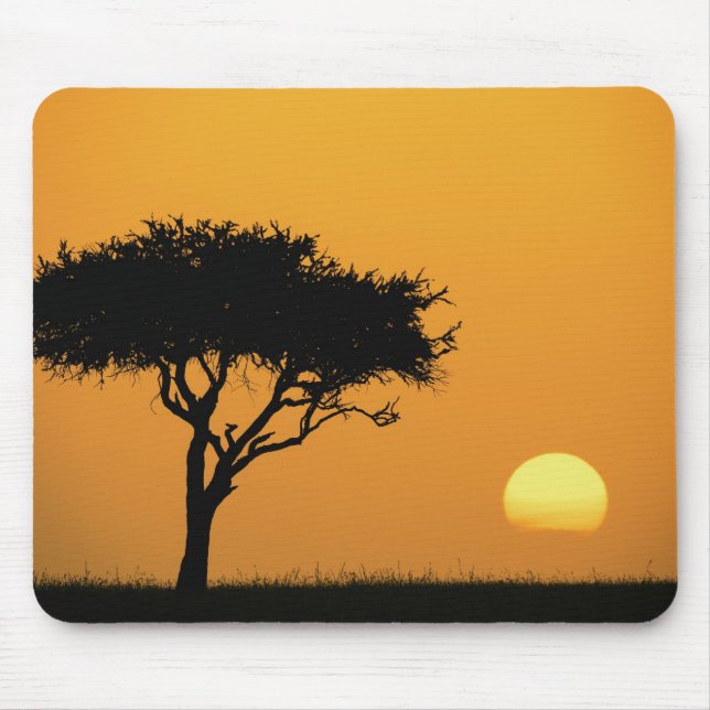 Mousepad Única árvore Acácia silhuetada ao nascer do sol, M (Frente)