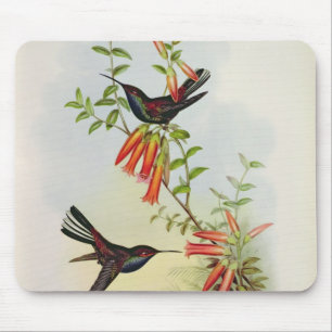 Mousepad Urochroa Bougieri