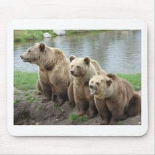 Mousepad Ursa ursos animal personalizar Aniversários