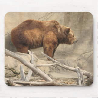 Mousepad Urso