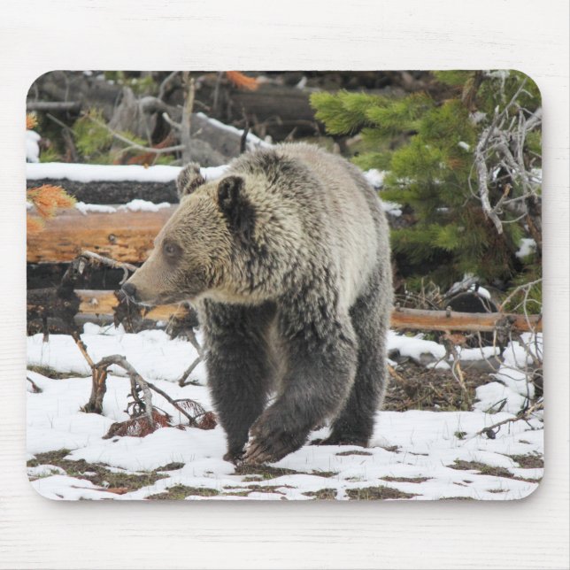 Mousepad Urso (Frente)