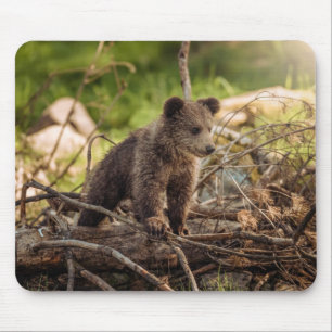 Mousepad Urso bebê bonito em mata