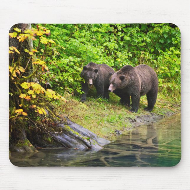 Mousepad Urso Castanho e Cubo | Hyder, Alaska (Frente)