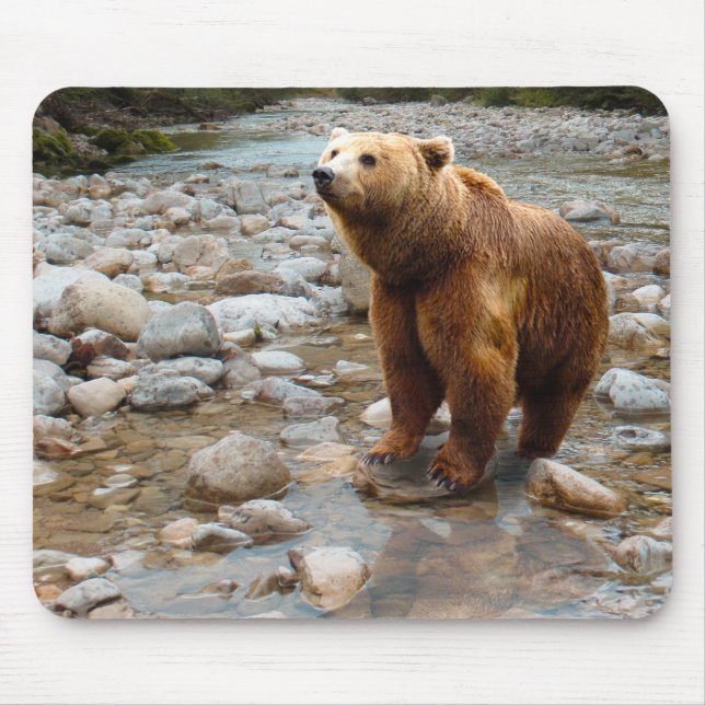 Mousepad Urso Castanho em Fluxo (Frente)