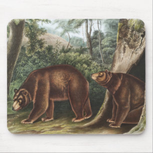 Mousepad Urso Cinamão (Ursus Americanus var. Canela)