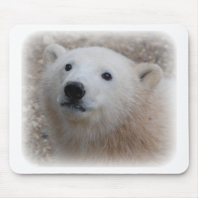 Mousepad Urso Cub polar (Frente)