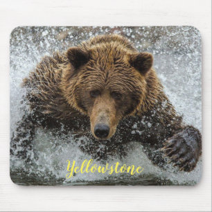Mousepad Urso de Almofada-Yellowstone do rato