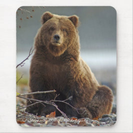 Mousepad Urso de Brown do Alasca em Kenai NWR