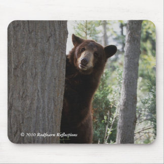 Mousepad Urso de canela