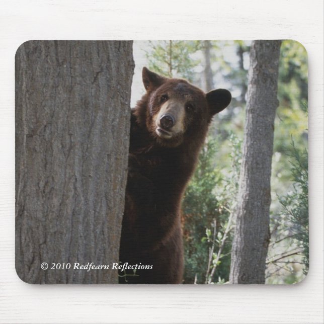 Mousepad Urso de canela (Frente)