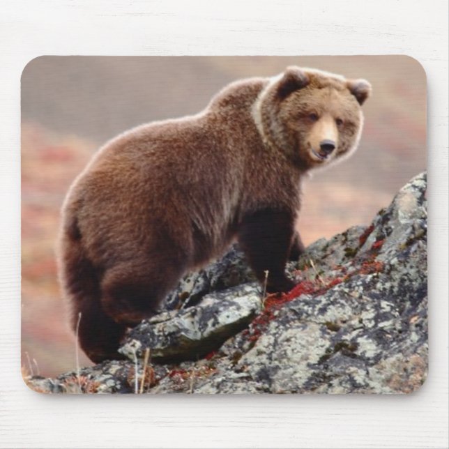 Mousepad Urso de Denali Brown (Frente)