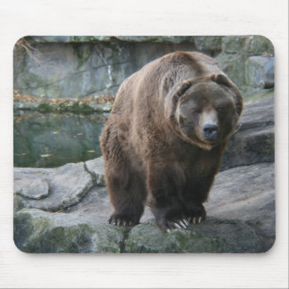Mousepad Urso de Kodiak de Brown