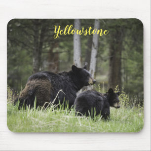 Mousepad Urso de Pedra Amarela do Mouse