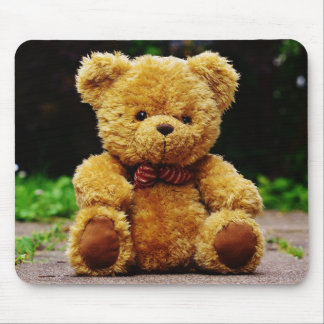Mousepad Urso de Teddy