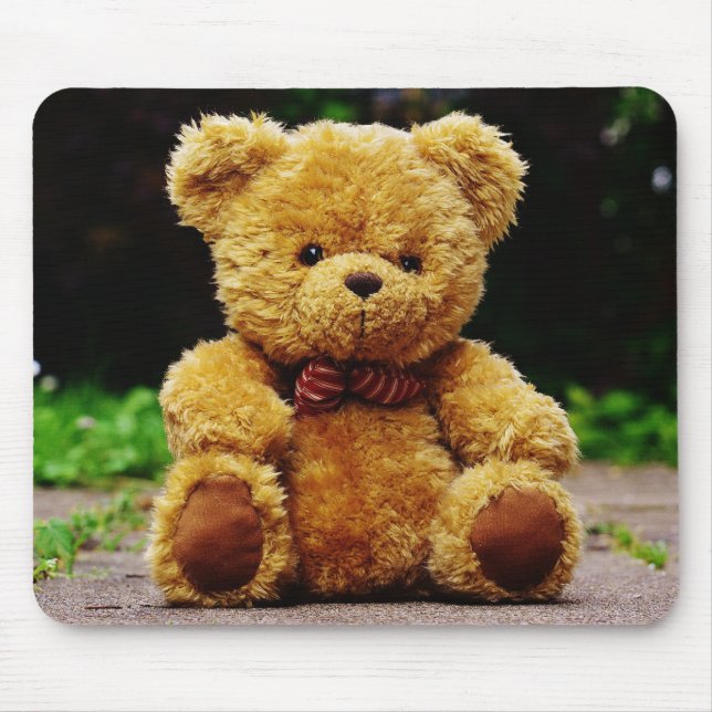 Mousepad Urso de Teddy (Frente)
