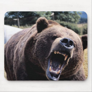 Mousepad Urso de ursinho rujir