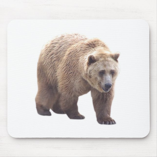 Mousepad Urso de urso (Frente)