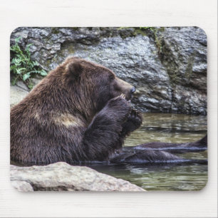 Mousepad Urso de urso bonito de Brown
