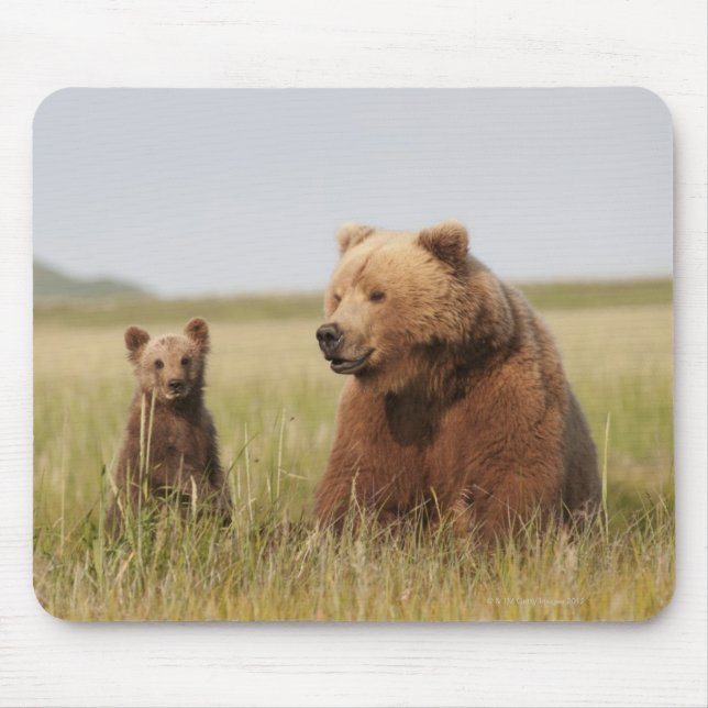 Mousepad Urso de urso com Cub (Frente)