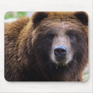 Mousepad Urso de urso de Brown