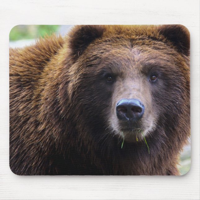 Mousepad Urso de urso de Brown (Frente)