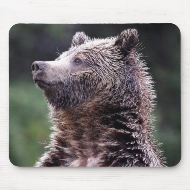 Mousepad Urso de urso ereto (Frente)