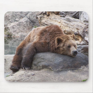 Mousepad Urso de urso que descansa na rocha