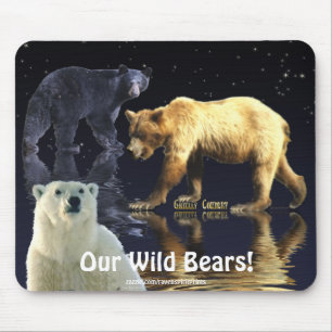 MOUSEPAD URSO DE URSO, URSO PRETO & URSO POLAR