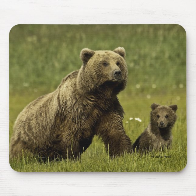 Mousepad Urso e filhote do Mama (Frente)