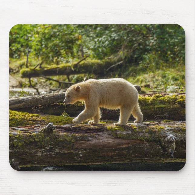 Mousepad Urso Espírito Branco Caça (Frente)