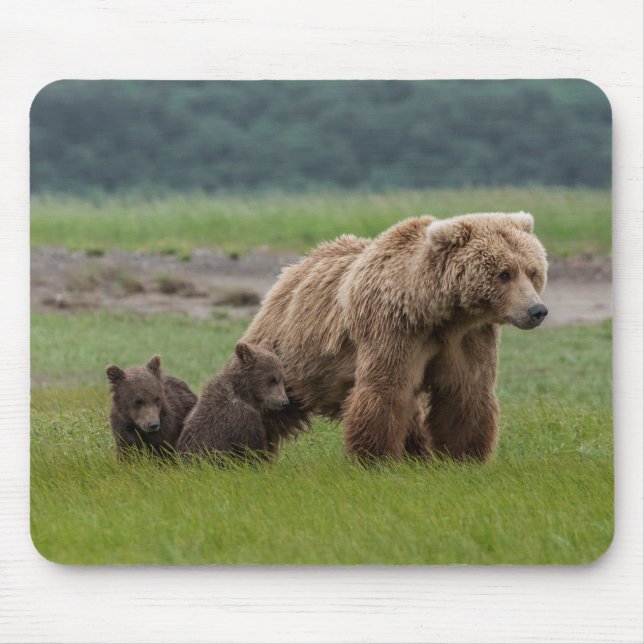 Mousepad Urso Grizzly Mãe com Cubos Gêmeos (Frente)