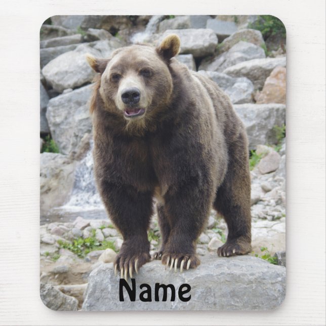 Mousepad Urso Kodiak em Pé sobre uma Rocha (Frente)
