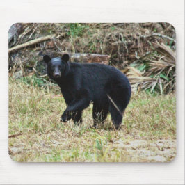 Mousepad Urso Negro da Flórida