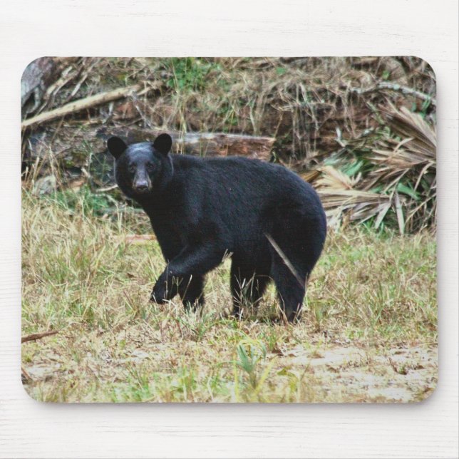 Mousepad Urso Negro da Flórida (Frente)