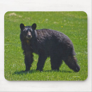 Mousepad Urso Negro Selvagem e Foto de Vida Selvagem de Gra