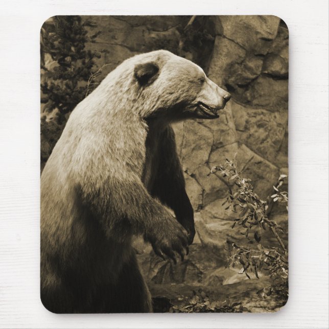 Mousepad Urso Ordenado (Frente)