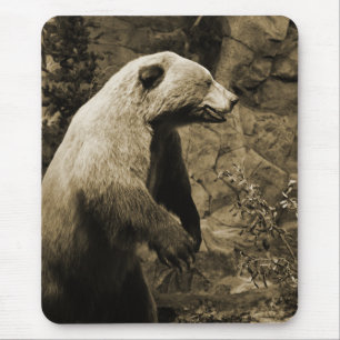 Mousepad Urso Orgulhoso
