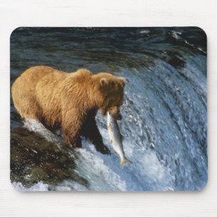 Mousepad Urso Pardo do Alasca Capturando Salmão em Brooks