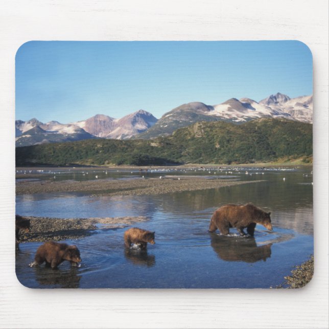 Mousepad Urso pardo, urso cinzento, porca e filhotes em (Frente)