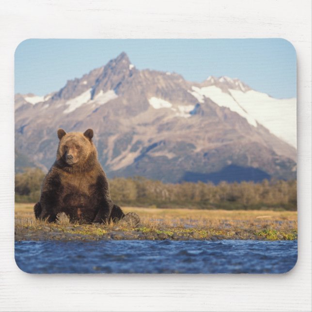 Mousepad urso pardo, Ursus arctos, urso cinzento, Ursus (Frente)
