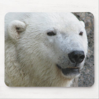 Mousepad Urso polar