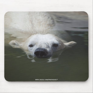 Mousepad Urso Polar