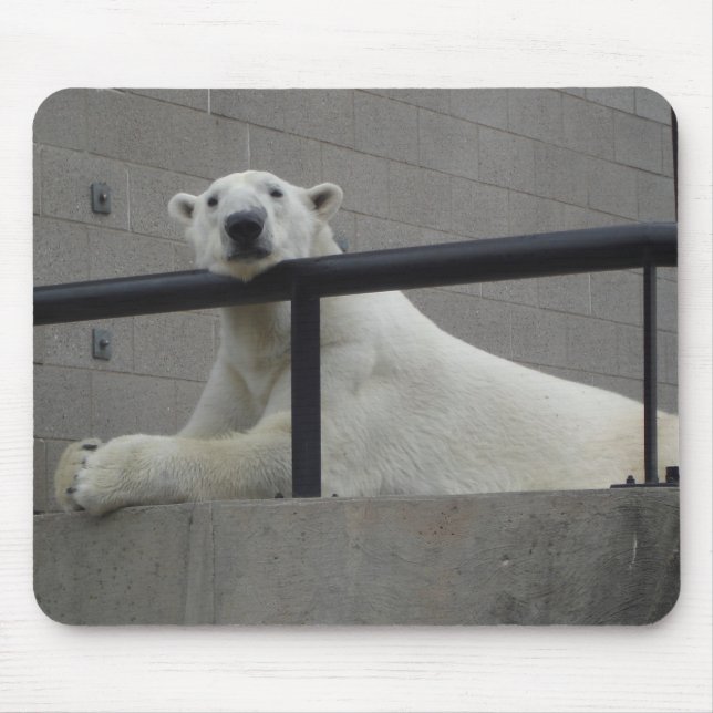 Mousepad Urso polar (Frente)