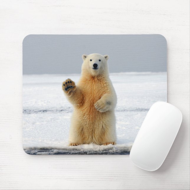 Mousepad Urso Polar (Com mouse)