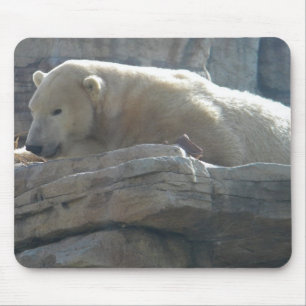 Mousepad Urso Polar